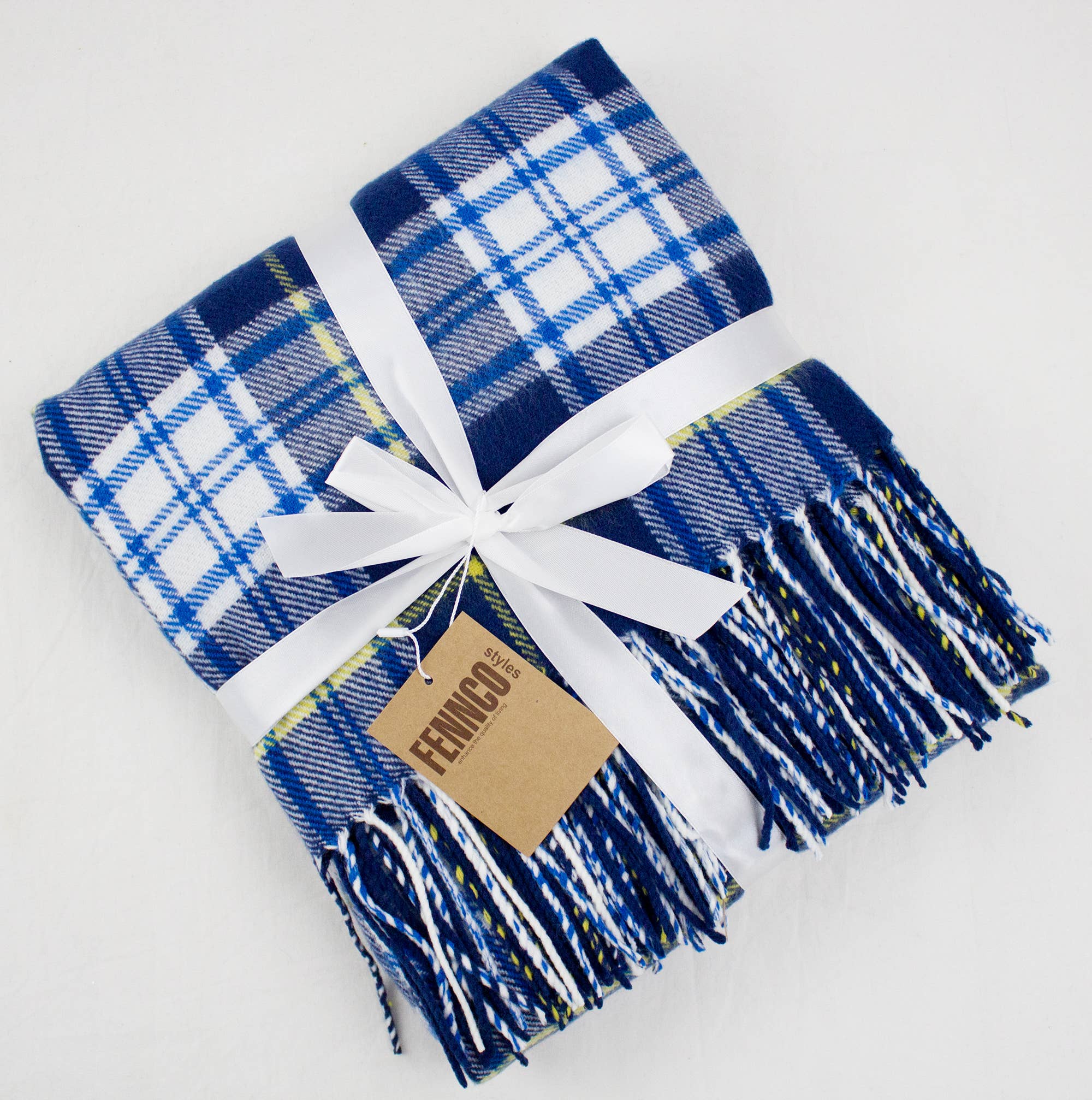 Fennco Styles Classic Plaid with Tassel Trim Throw Blanket / Blue & White Mix